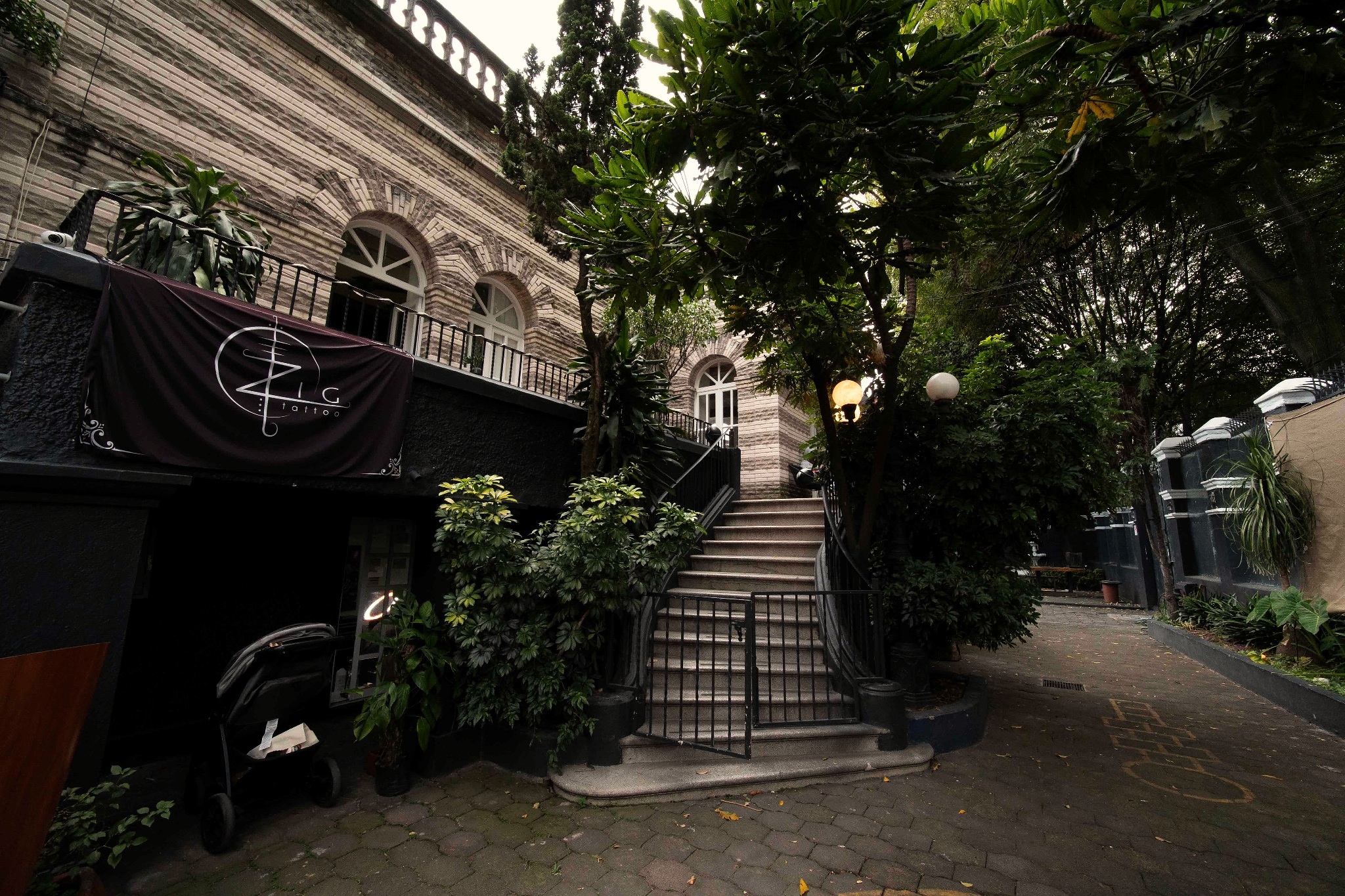 El patio de LACOLADERA Coyoacán